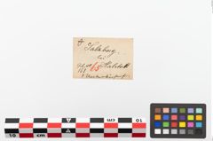 Etiketten zu Unterkiefer (NHMW-PRAE-023858a)
